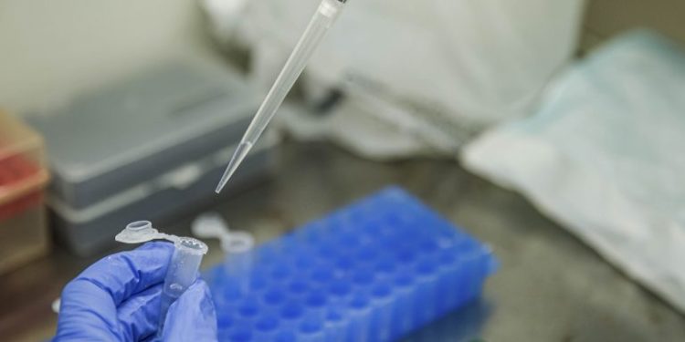 Câmara divulga lista de agraciadas com o prêmio Mulheres na Ciência 2023