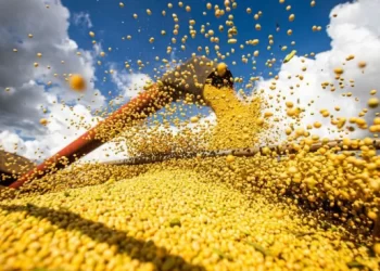 IBGE: apesar de estiagem, Brasil teve safra recorde no ano passado