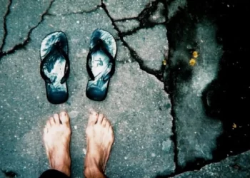 Governo cria Observatório Nacional de Direitos Humanos