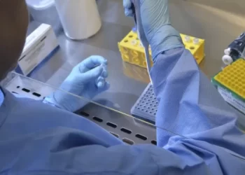 Vacina da chikungunya induz resposta imune em 98,8% dos vacinados