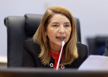 Iracema Vale anuncia criação de Comissão Especial para acompanhar caso de navio encalhado em São Luís