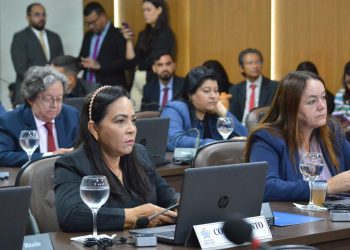 Concita Pinto solicita melhoria de acessibilidade na Via Expressa