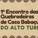 Presidente Médici sediará 1º Encontro de Quebradeiras de Coco Babaçu do Alto Turi