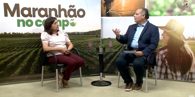 Dirigente da Senar discute ações voltadas à saúde da mulher rural