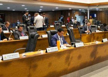 Plenário aprova PL que reconhece o gato-do-mato como espécie símbolo da biodiversidade do Maranhão