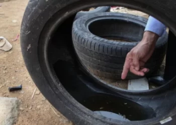 Dia D contra dengue promove ações de conscientização em todo o Brasil