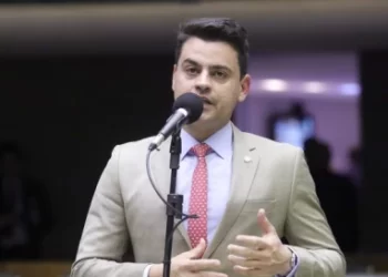 Projeto propõe abrigos para cães em cidades com mais de 50 mil pessoas