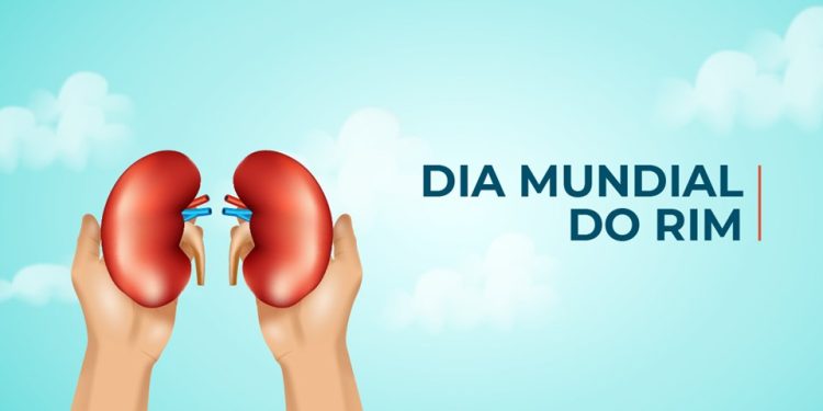 Dia Mundial do Rim: Especialistas alertam para prevenção e cuidados essenciais