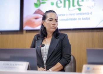 Câmara de São Luís analisa proibição de entregas sem identificação de remetente para reforçar segurança