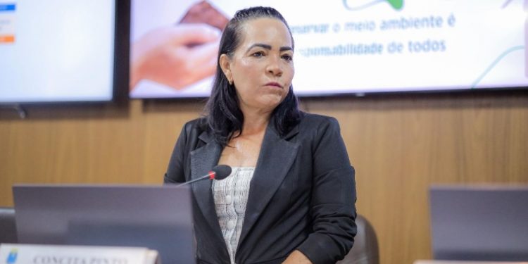 Câmara de São Luís analisa proibição de entregas sem identificação de remetente para reforçar segurança