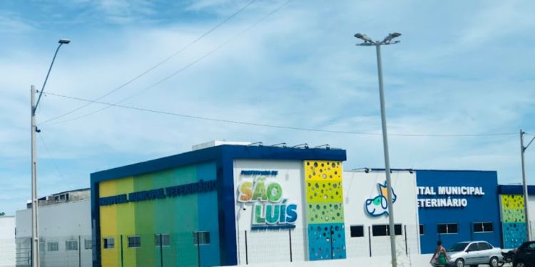 Referência em cuidado animal: Hospital Veterinário de São Luís celebra 1 ano com números expressivos