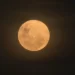 ‘Lua cheia do veado’ aparece no céu nesta quinta-feira (10) em todo o país