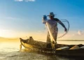 Prazo final se aproxima e pescadores correm para regularizar Seguro-Defeso no Maranhão