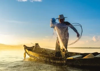 Prazo final se aproxima e pescadores correm para regularizar Seguro-Defeso no Maranhão