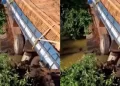 Desabamento de ponte dificulta rotina e preocupa moradores da zona rural de Codó