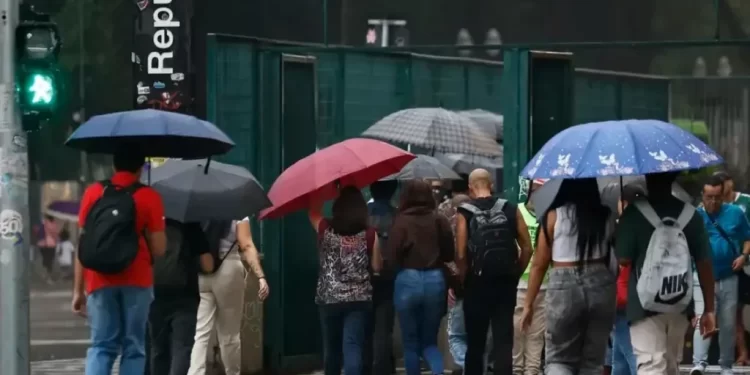 Alerta no celular: saiba como se cadastrar para receber avisos da Defesa Civil