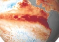 Emergência climática: evento propõe observatório e sistema de monitoramento de queimadas no Maranhão