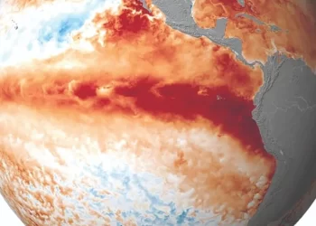 Emergência climática: evento propõe observatório e sistema de monitoramento de queimadas no Maranhão