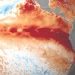 Emergência climática: evento propõe observatório e sistema de monitoramento de queimadas no Maranhão