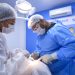 Paço do Lumiar amplia cirurgias odontológicas e passa a oferecer atendimentos noturnos à população
